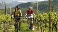Mountainbike-Touren für alle Schwierigkeitsgrade