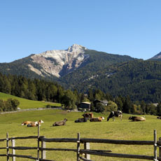 Parco Naturale del Monte Corno, veduta panoramica