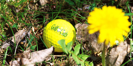 Petersberg Golf Club, partner of Hotel Tenz
