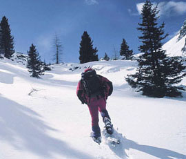 Escursione invernale in Alto Adige